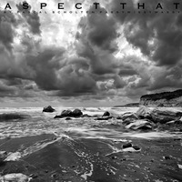 Aspect That by Pascal Scholten-Passywissywassy's-Recordings