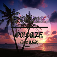 Der Housejunkee - Apologize (Bootleg) by Der Housejunkee