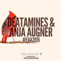 Beatamines &amp; Anja Augner @ EVE ADAM END Festival 2015 by Anja Augner
