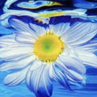 Flowers In The Water by Pepe Navarro Gras