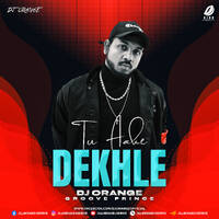 Tu Aake Dekhle (Remix) - DJ Orange by All Indian DJs Drive