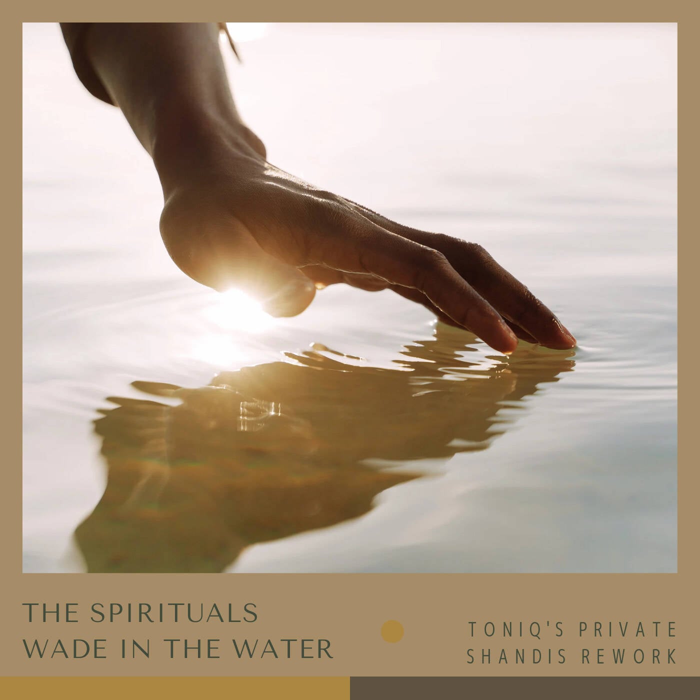 The Spirituals-Wade in the Water(Toniq's Private Shandis Rework) episode artwork