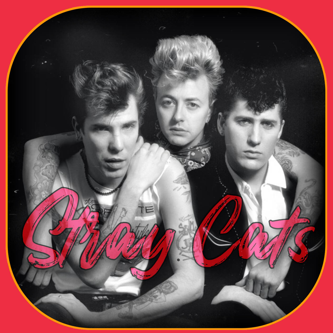 Stray_Cats episode artwork