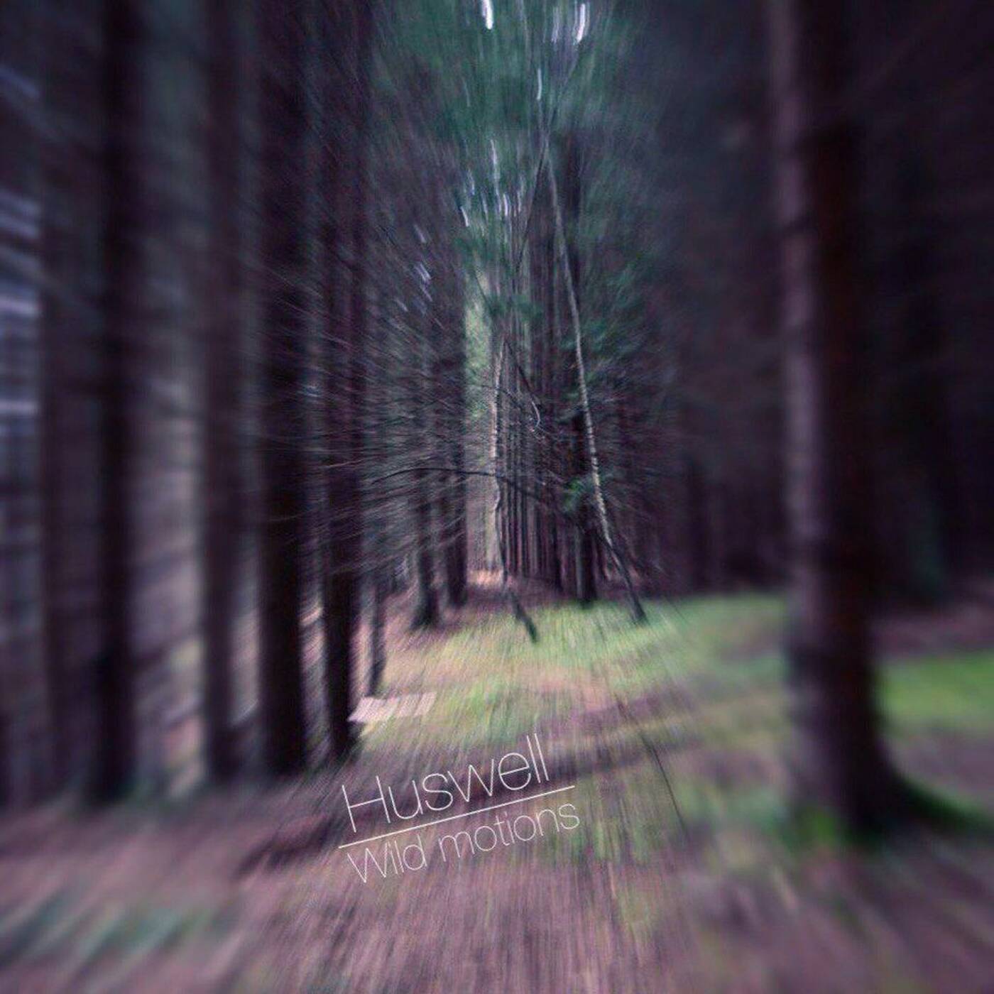 Huswell - Wild motions episode artwork