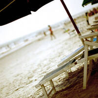 shake it 2h (summerpromo) by alex sky