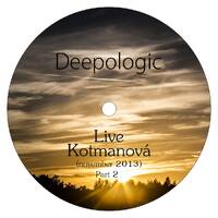 Deepologic - Live at Kotmanova (november 2013) Part 2 by Deepologic