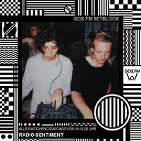 Radio Sentiment Vol. 17 by GDS.FM