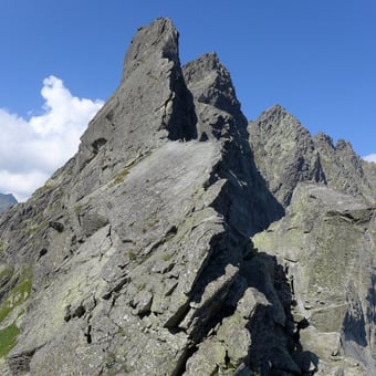 Žab&iacute; K&ocirc;ň