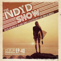The NDYD Radio Show EP40 by Ricardo Torres |NDYD