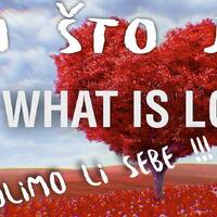 9.9.Poriluk Ljubav? by Poriluk.com