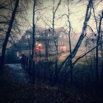 Official.Optik.Motion