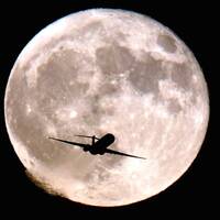 Hazy Pockets @ Jackie O Berlin - Summer Air by Beesenstedt 31