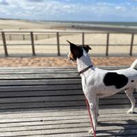 **Radio Session : Divoc91 on HouseNationBelgium** technosession 003 by Divoc91 by Divoc91