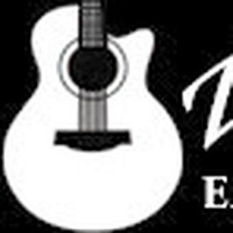 Zager Guitar