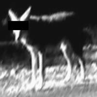 Dom Fox - The Dark Matter by Guias Sonoras