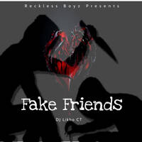 Fake Friends by Dj Likho CT