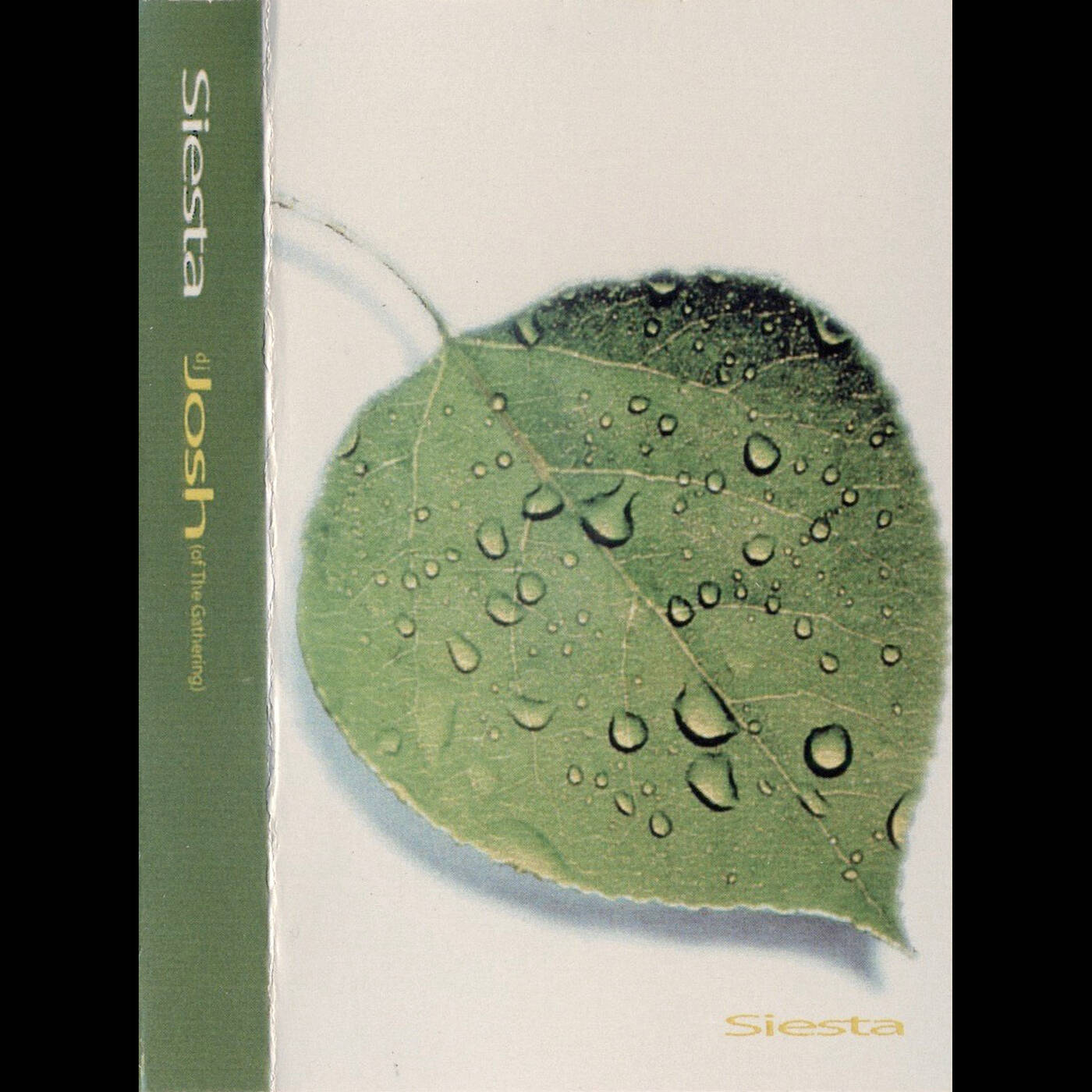 DJ Josh (of The Gathering) - Siesta (Jim Hopkins Remaster) episode artwork