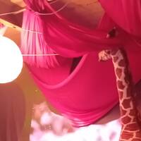 badda studio hradby rekonstrukce by Badda