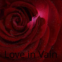 Love in Vain - Dhin Magic Corporation by Dhin / Magic Pad Corporation