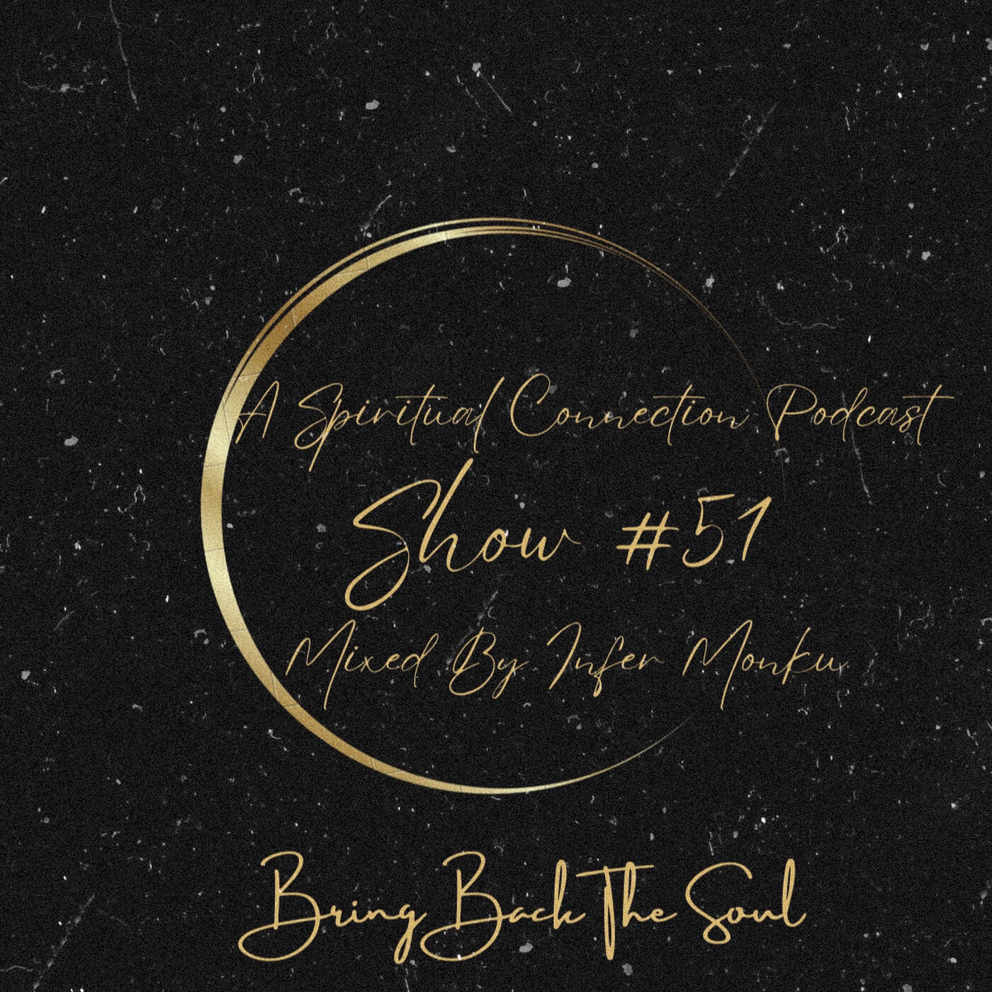 A Spiritual Connection Podcast Show #51 (Bring Back The Soul) episode artwork