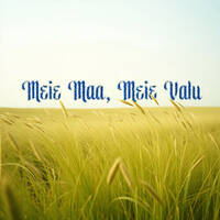 Meie Maa, Meie Valu by MuuSer