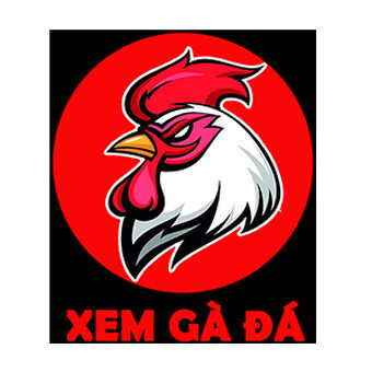 Đ&aacute; G&agrave; HD