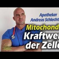 Mitochondrien - Kraftwerke der Zellen - Andreas Schlecht (MSc.) by NuoFlix