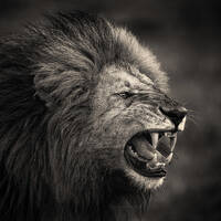 OnlyDNB - Aggro Special by DJ Parody