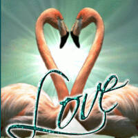 Sami Dee's Stereo Zone Pt. 112_March 10, 2020_Paris, France by Sami Dee Forever