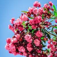 copernicus - highway to house - episode 17 by copernicus