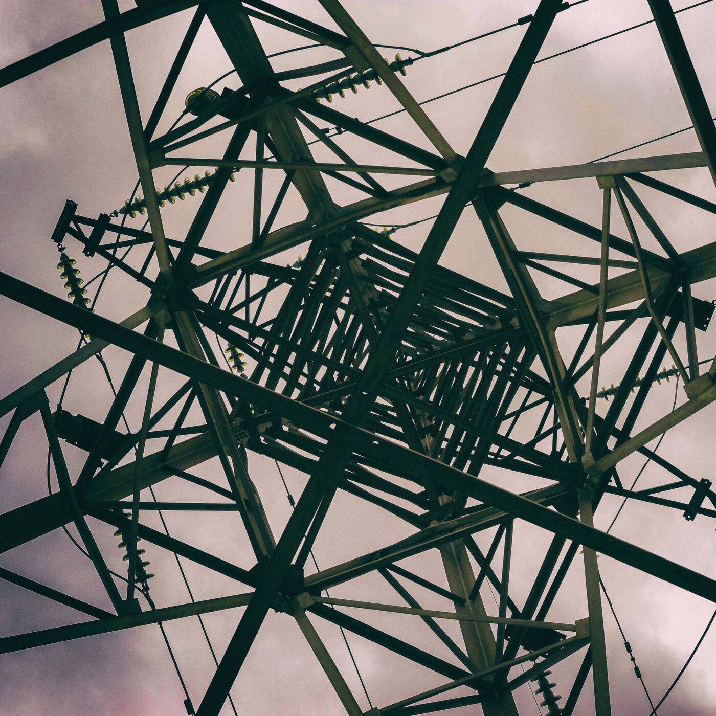 Basswald #36: Primal Transmit Basswald #36: Primal Transmit