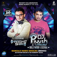 13 - RANGILO MAARO DHOLNA - DJ PIYUSH BAJAJ x DJ HARSHIT SHAH by djpiyushbajaj
