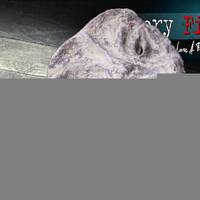 "Weiße Alien-Mumien von Nazca" in Peru: Haft für den mutmaßlichen Hauptschuldigen - die ganze Story by NuoFlix