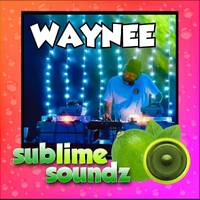 DJ Waynee - Live on Sublime Soundz - Monday 12th January 2026 - 18:00 - 19:00 by Sublime Soundz