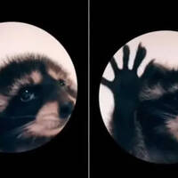 (Epic Trance / Mainstage and more) The Perfect Intersection Ep 104 by DjDarad 03 May 2024 by DjDarad 02