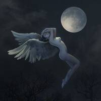 Tanz das Leben by Michael Angele