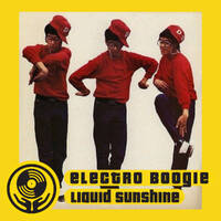 Electro Boogie Bass Bombs - Liquid Sunshine @ The Face Radio - Show #105 - 26-04-2022 by Liquid Sunshine
