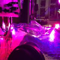 Bork &amp; Ceelight - Live Set 2022-10-21 by DJ Ceelight