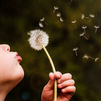 DJ DaLux - Fortuna - 14.03.26 by DaLux