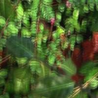 Live performance at Steim, Amsterdam 22-02-2015 by Omnis Iste