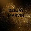 Deejay Marvin 700