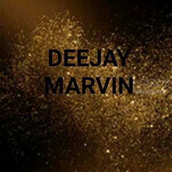 Deejay Marvin 700