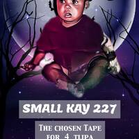 SMALL KAY 227