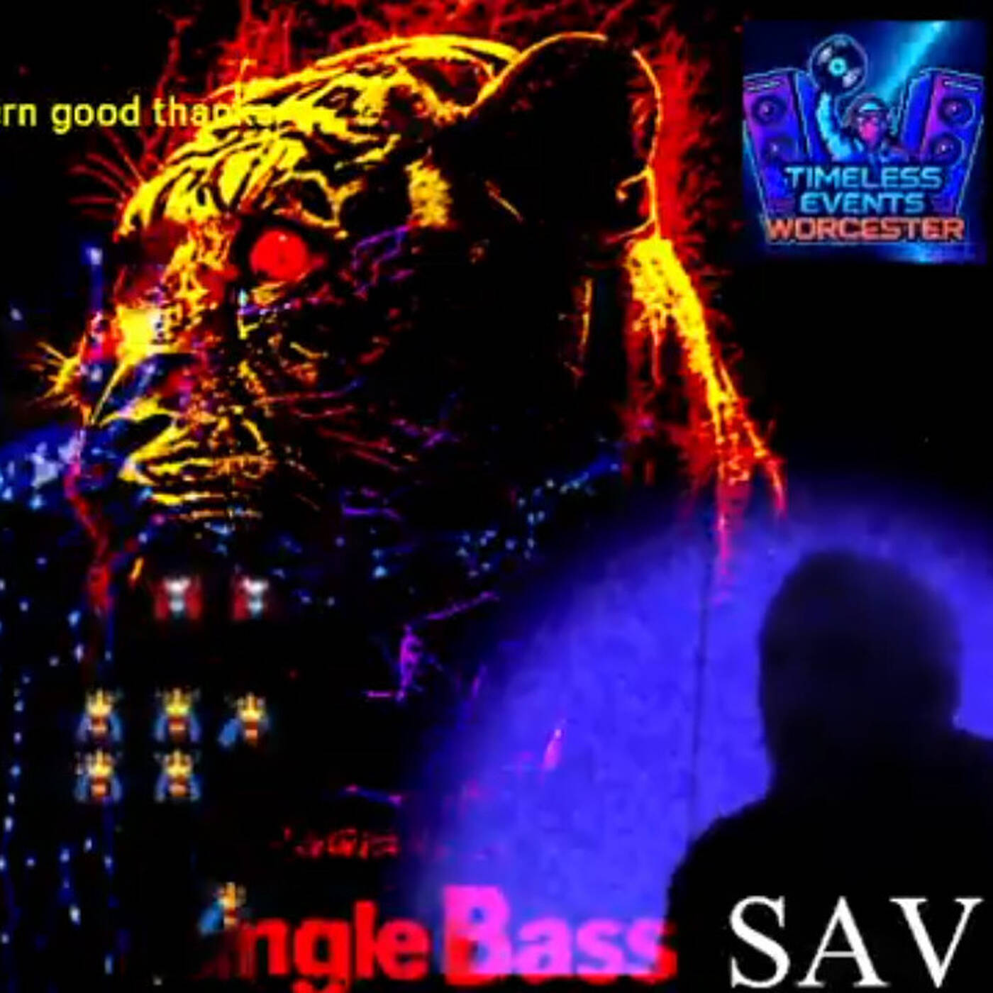 Friday's Survival - Sav (Gr) - Timeless live mixes UK episode artwork