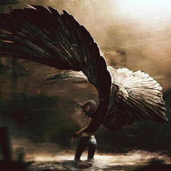 Christophe Saeremans