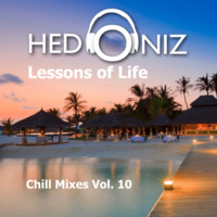 Lessons of Life (Chill Mixes Vol 10) by Hedoniz
