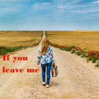 If you leave me - Dhin Magic Corporation by Dhin / Magic Pad Corporation