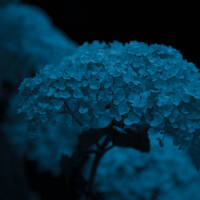 Speed Rising - The Light In Darkness 2 by SpeedRising