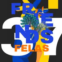 Friends Felas Vol 37.Guest Mixed By (Kamza) by LoGos SA & Soul Touch