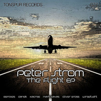 Peter Strom - The Flight (Danek's Micro Dub Remix) by Danek